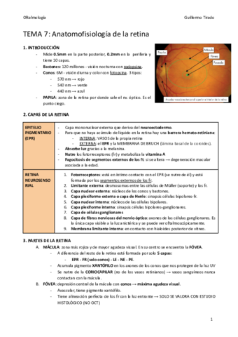 T7-Anatofisiologia-de-la-retina.pdf