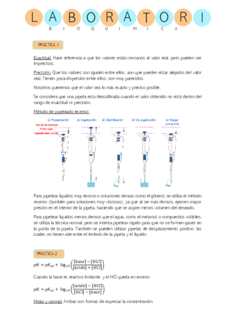 Resumen-Lab-Bioquimica-JUD.pdf