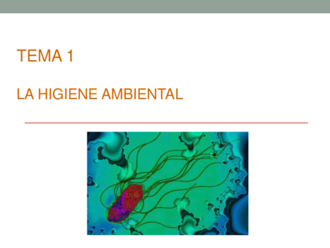 TEMA-1-Higiene-ambiental.pdf