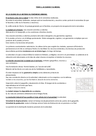 T 01. La Ciudad y El Medio.pdf
