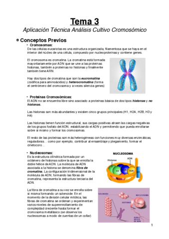 Tema-3pdf.pdf