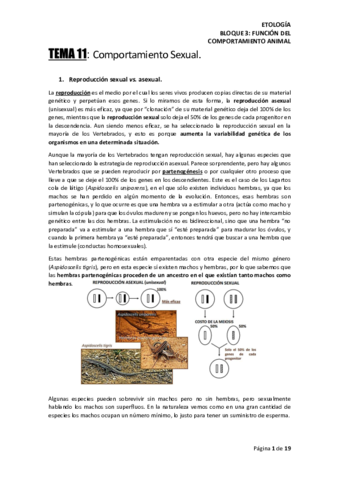 TEMA-11-ETOLOGIA.pdf