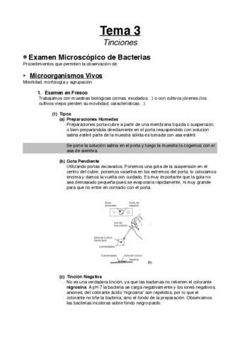 Tema-3pdf.pdf
