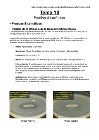 Tema-10prueba1.pdf