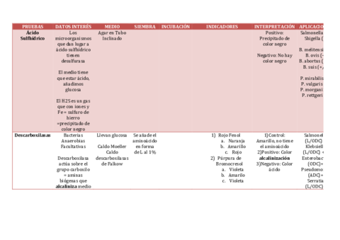 PRUEBAS-PROTEINASpdf.pdf