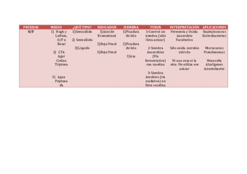 PRUEBAS-HIDRATOS.pdf