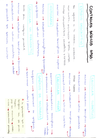 CONTROLES-BASICOS-SPSS.pdf
