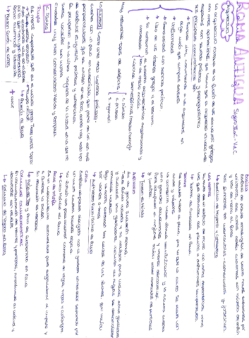 roma-esquema.pdf