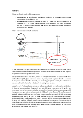 RESUMEN-PRACTICA-3-MSE.pdf