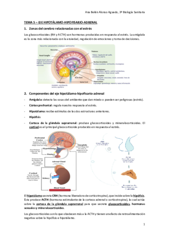TEMA-5-EJE-HIPOTALAMO-HIPOFISARIO-ADRENAL.pdf