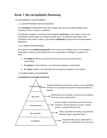 RESUMEN-T1-CARACTERISTICAS.pdf