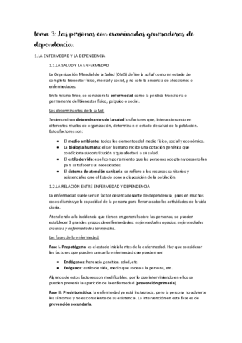 RESUMEN-T3-CARACTERISTICAS.pdf