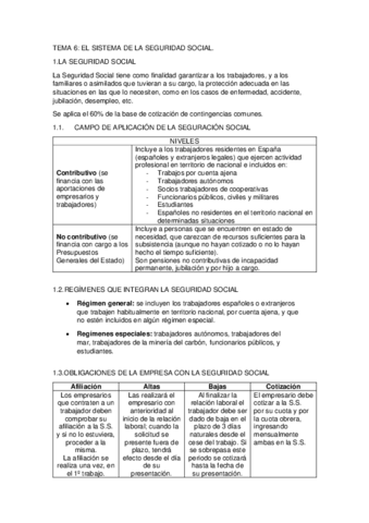 TEMA-6.pdf