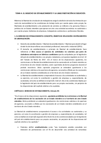 TEMA-4-PLUE.pdf