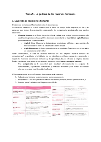 Tema-5-La-gestion-de-los-recursos-humanos-.pdf