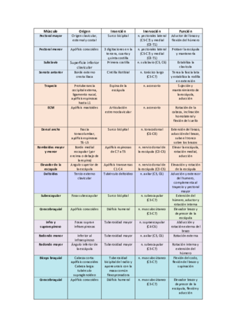 Musculos-miembro-superior.pdf