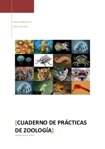 CUADERNO-PRACTICAS-ZOOLOGIA.pdf