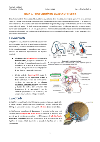 TEMA-3-HIPOFUNCION-ADENOHIPOFISARIA.pdf