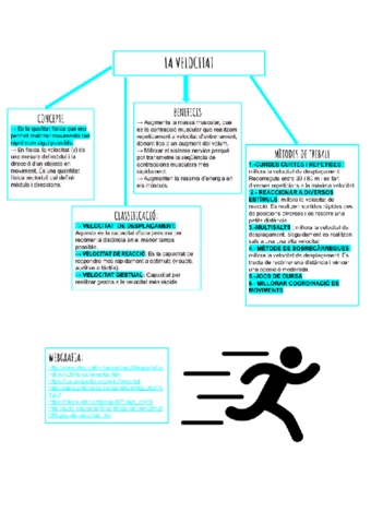 Andrea-Toral-Jove-Capacitat-fisica-basica-la-velocitat.pdf