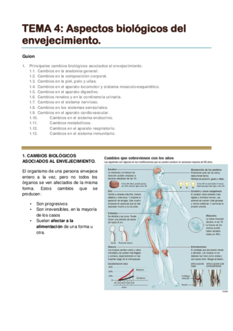 TEMA 4. Aspectos biológicos del envejecimiento..pdf