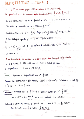 demostraciones-algebra.pdf