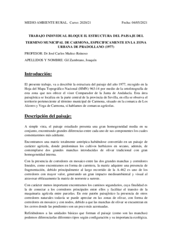 TRABAJO-INDIVIDUAL-BLOQUE-II.pdf