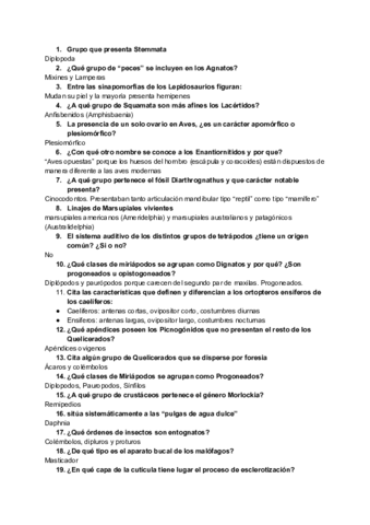 recopilacion-preguntas-examenes.pdf