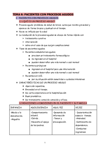 APUNTES-PSA-T6.pdf
