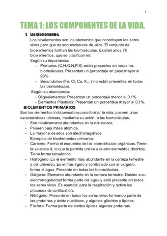 Documento-sin-tAtulo.pdf