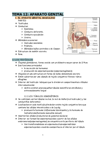 APUNTES-TEMA-12-TBE-.pdf