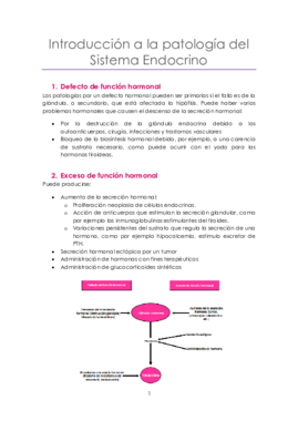 Tema 13 Sistema Endocrino.pdf