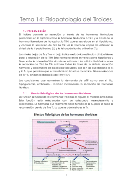 Tema 14 Tiroides.pdf