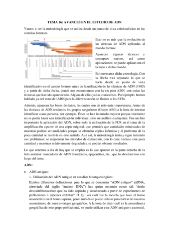 TEMA-16.pdf