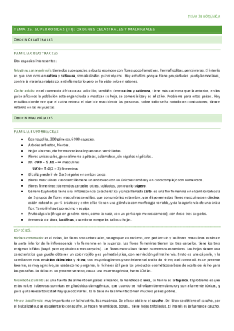 tema-25-BOTANICA.pdf