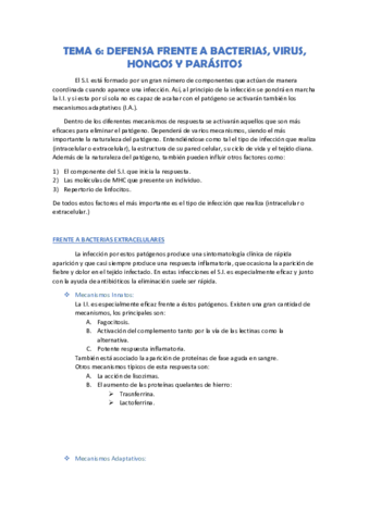 tema 6.pdf