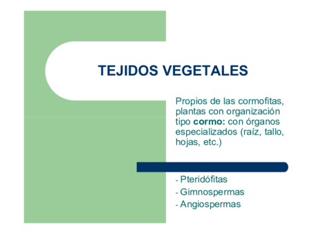 TEJIDOS-VEGETALES.pdf