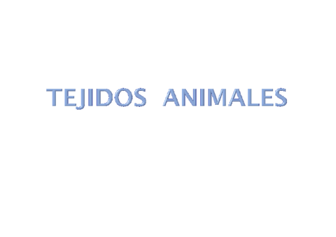 TEJIDOS-ANIMALES.pdf