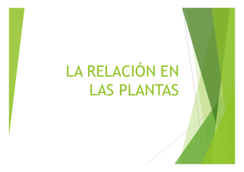 RELACION-EN-PLANTAS.pdf