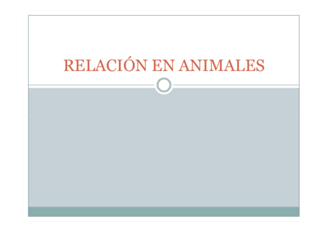RELACION-EN-ANIMALES-sin-sentidos.pdf