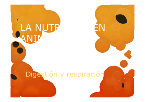 LA-NUTRICION-EN-ANIMALES-digestivo-y-respiratorio.pdf