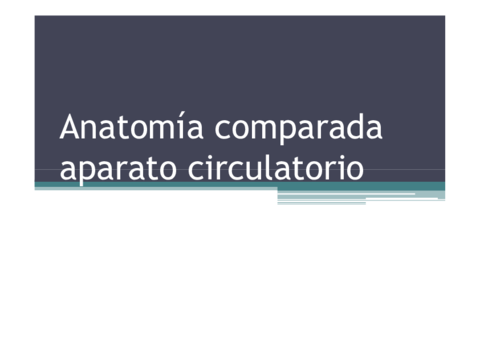 Sistemas-circulatorios-en-animales.pdf