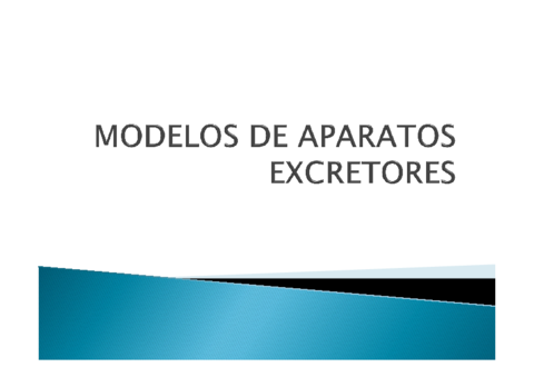 MODELOS-DE-APARATOS-EXCRETORES.pdf