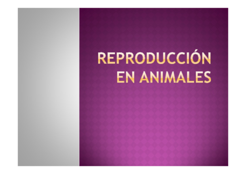 REPRODUCCION-EN-ANIMALES.pdf