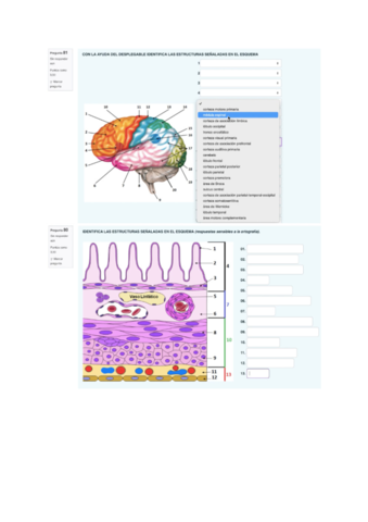 examen-oma-1jun21.pdf