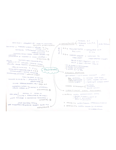 PROTEINES.pdf