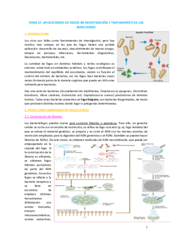 TEMA-27.pdf