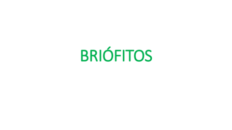 BRIOFITOS.pdf