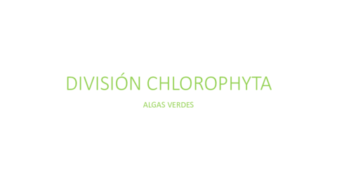 DIVISION-CHLOROPHYTA.pdf
