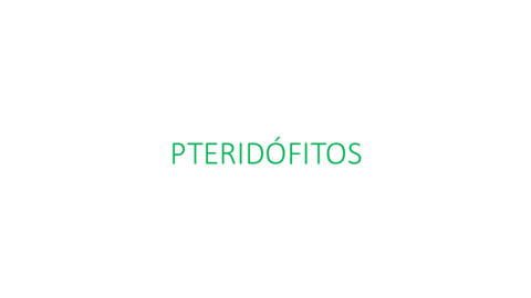 PTERIDOFITOS.pdf