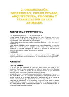 2. ORGANIZACIÓN DESARROLLO CICLOS VITALES ARQUITECTURA FILOGENIA Y CLASIFICACIÓN DE LOS ANIMALES..pdf